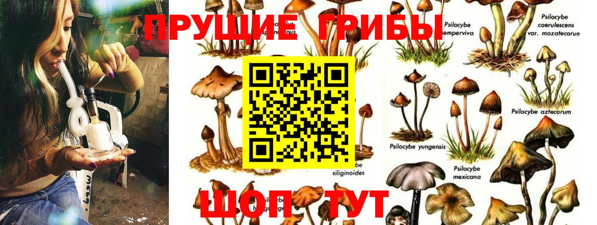 купить закладку  Псилоцибиновые грибы прущие грибы  Псилоцибиновые грибы Magic Shrooms  Вход с VPN  Юрга 