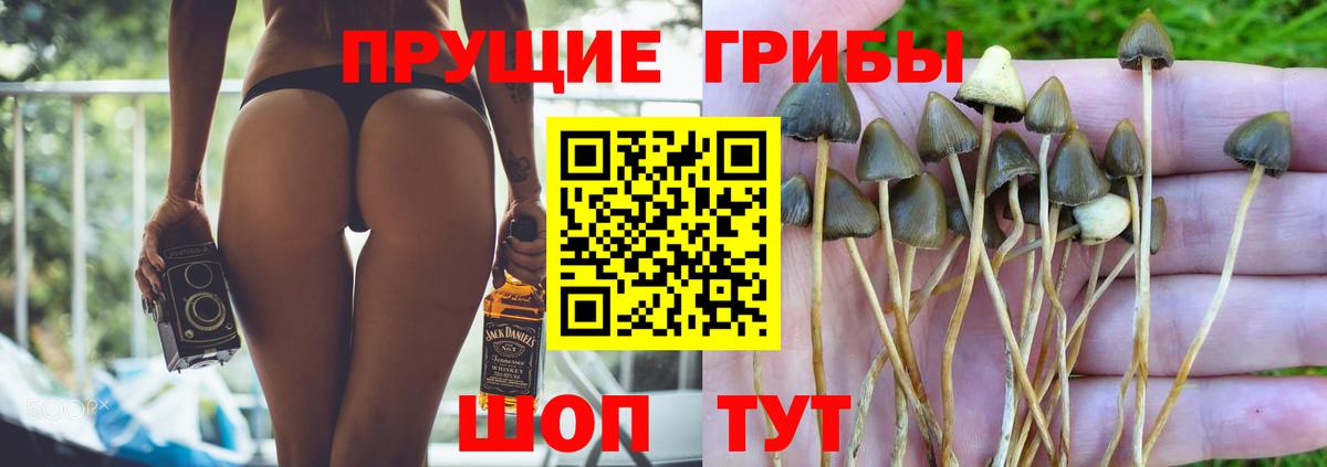 Псилоцибиновые грибы прущие грибы Юрга